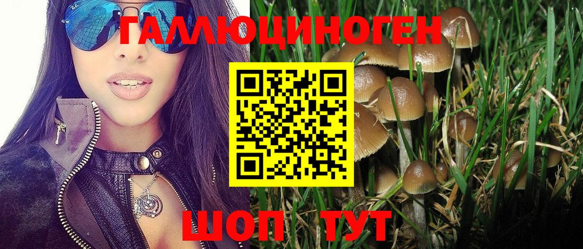 Псилоцибиновые грибы Psilocybe  Вход с VPN  Саянск  купить  сайты  Галлюциногенные грибы GOLDEN TEACHER 