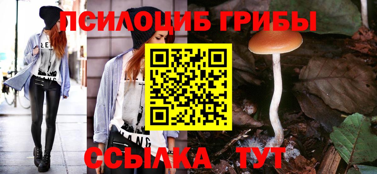 Галлюциногенные грибы прущие грибы Саянск